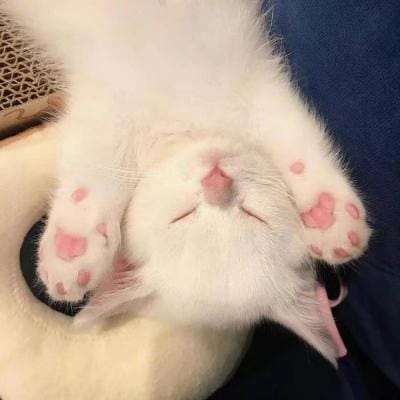 Lê Văn Thành avatar